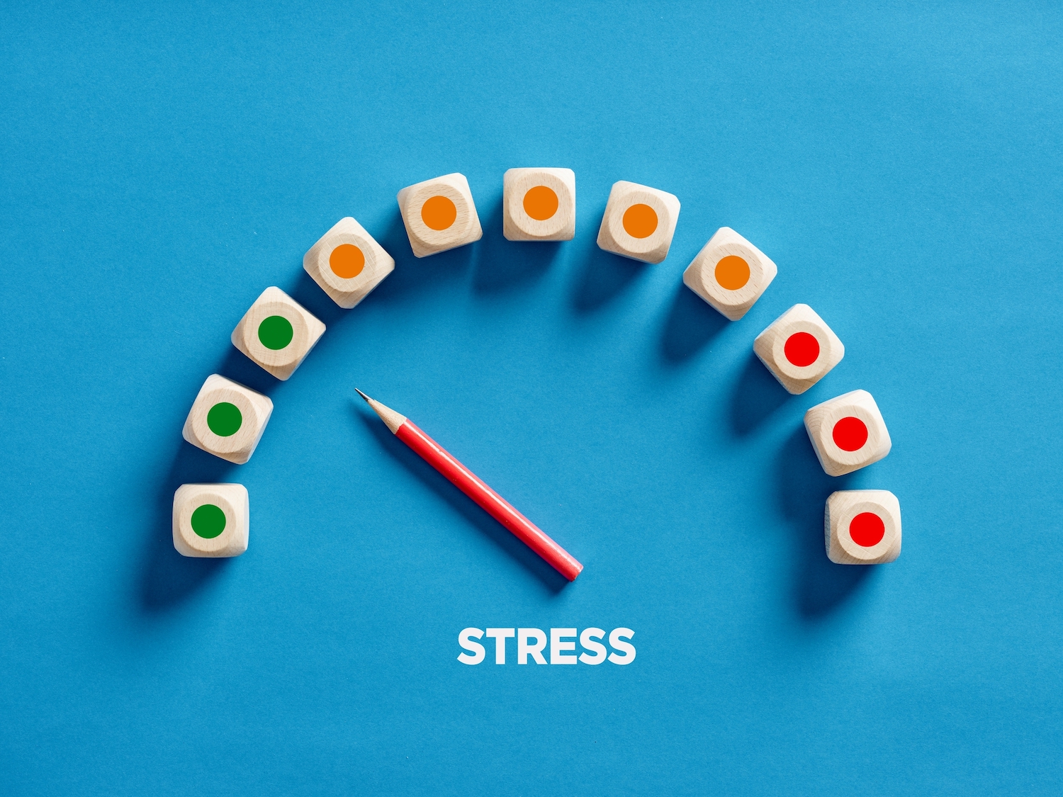 Ansia e stress. | Rebecca Rossi Psicoterapeuta